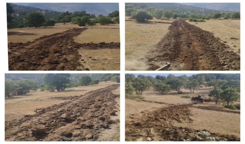 ایجاد آتش بر در مناطق جنگلی بحرانی شهرستان الیگودرز