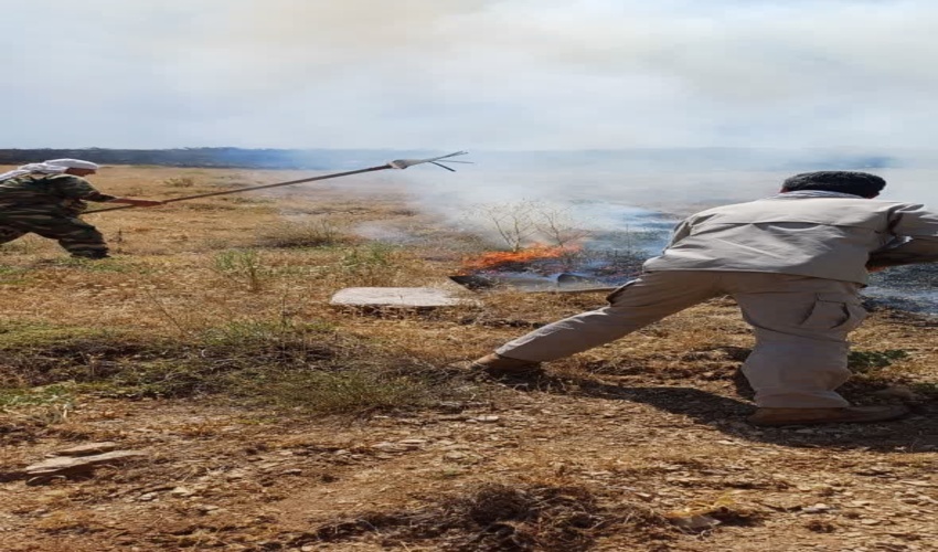 ۱۶۶۲ هکتار از جنگلها و مراتع دچار آتش سوزی شدند