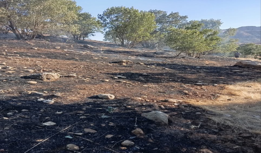 تعقیب عوامل آتش‌سوزی های منطقه بن لار