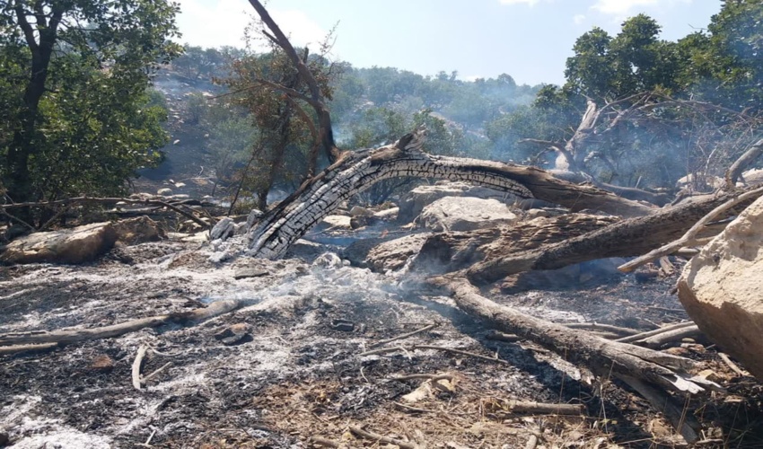 عوامل ایجادکننده آتش در خرم‌آباد شناسایی شدند