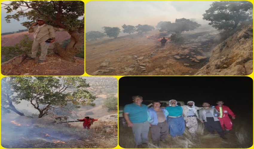 آتش سوزی در جنگل‌های منطقه زمزم شاهیوند به طور کامل مهار شد