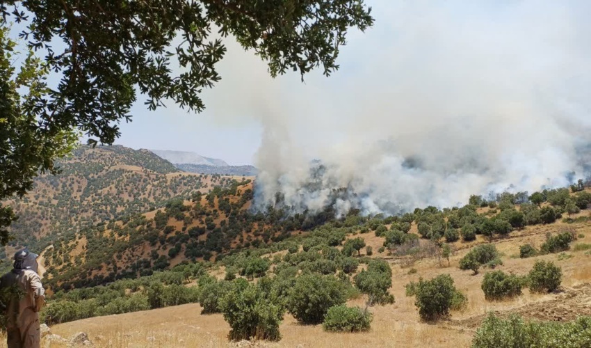 وقوع ۱۶۶ فقره حریق در جنگل‌های لرستان