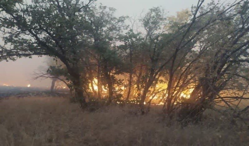 حریق شهرستان دلفان کنترل و اطفاء گردید