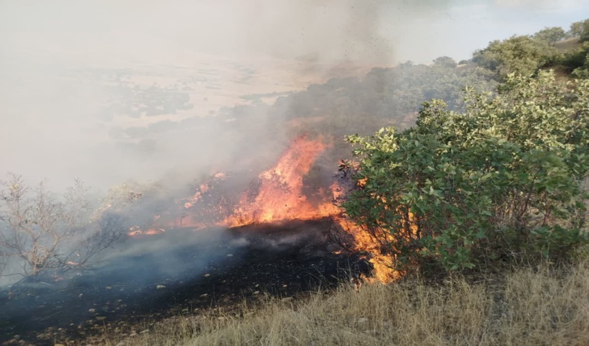 دستگیری ۳۶ متخلف در حریق‌های امسال لرستان