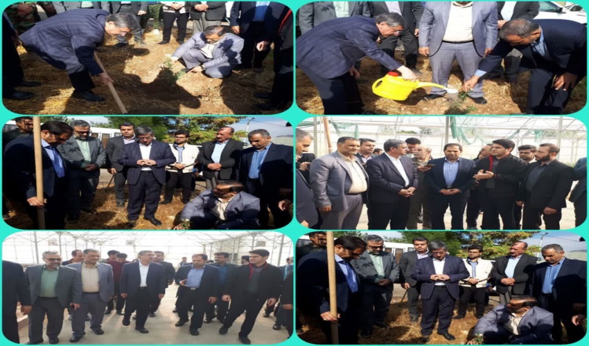 کاشت نهال در بام لرستان توسط استاندار