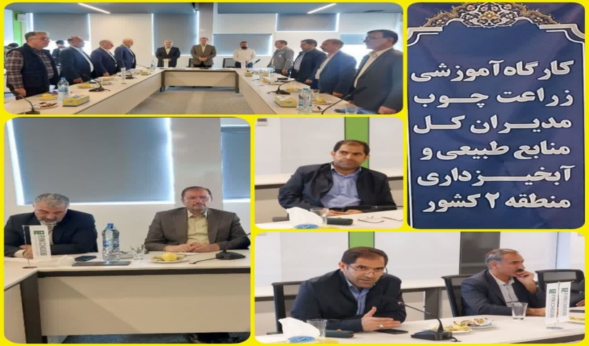 کارگاه آموزشی زراعت چوب مدیران کل منابع طبیعی و آبخیزداری منطقه دو کشور به میزبانی خوزستان برگزار شد