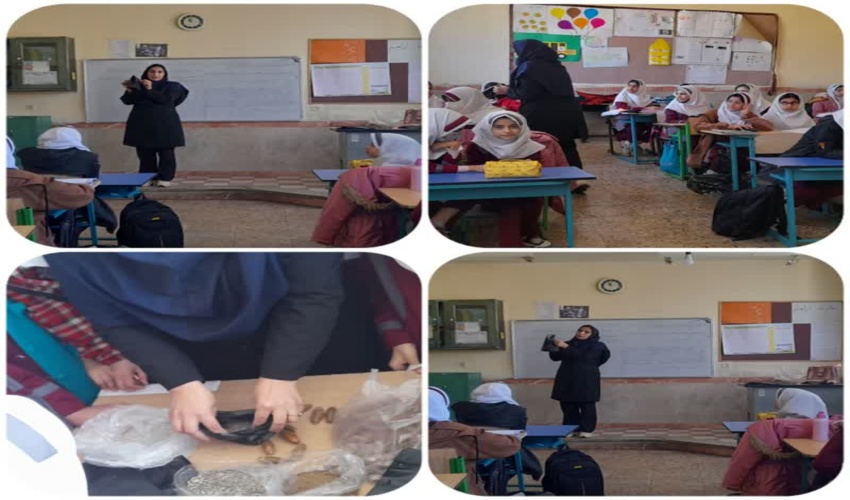 آموزش کاشت بذر بلوط در دبستان حضرت رقیه شهرستان سلسله 