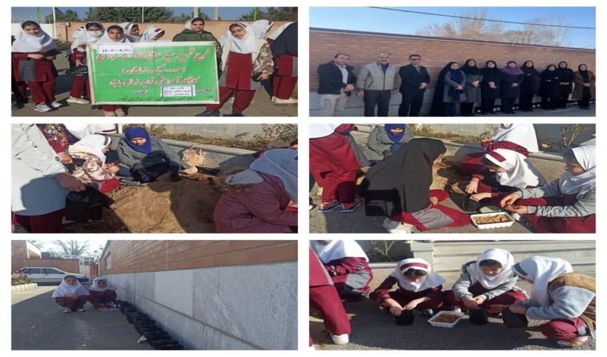 بذرکاری دختران دبستان زنده یاد جلالی مارنانی