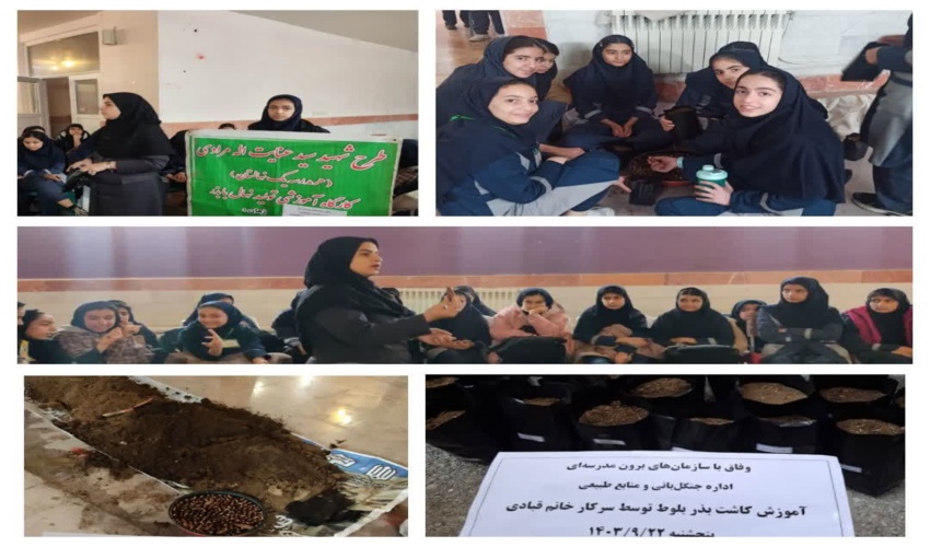 احداث نهالستان دانش آموزی بلوط با همت دختران دبیرستان پروین اعتصامی