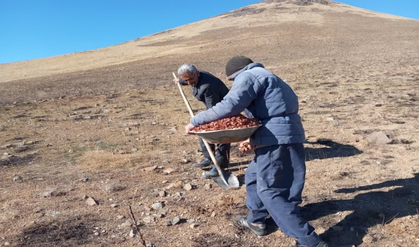 دیدار و ملاقات مردمی مستمر مدیرکل منابع طبیعی و آبخیزداری استان لرستان با مردم 