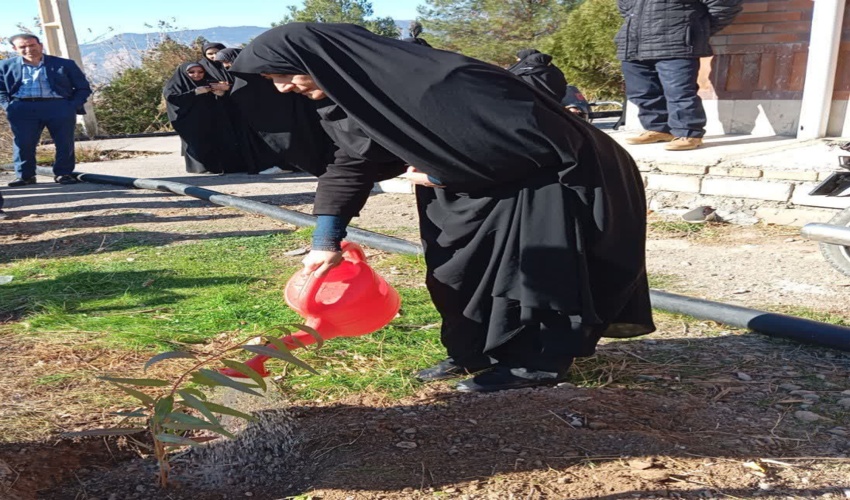 آخرین روز پاییز پویش سراسری کاشت نهال در سایه مادر