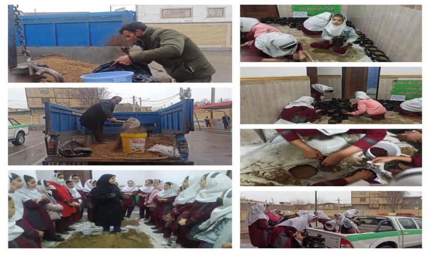 پیشتازی دبستان های دخترانه در اجرای طرح «هر مدرسه، یک نهالستان»