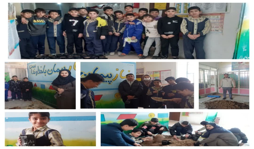 دبستان روح اله خمینی شهرستان الیگودرز نهالستان آبی و اناری های ایران شد: