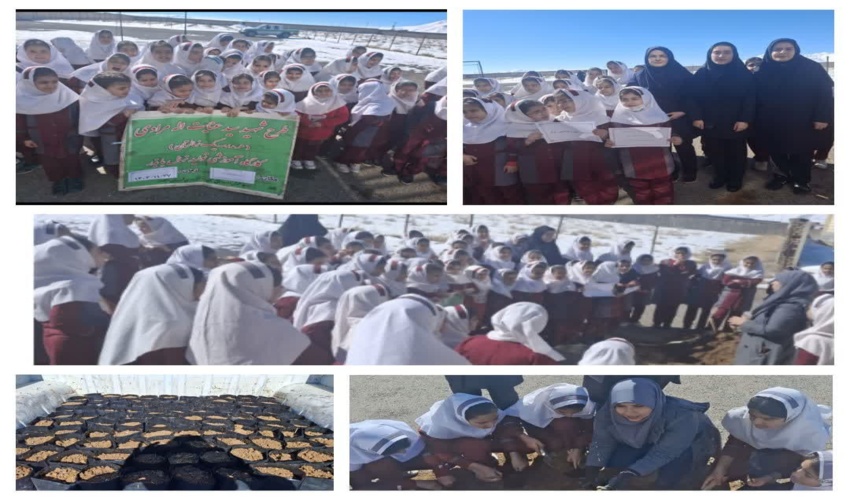 دبستان شهید سید عبدالله هاشمی نژاد شهر شاپورآباد نهالستان «قائم آل محمد» شد