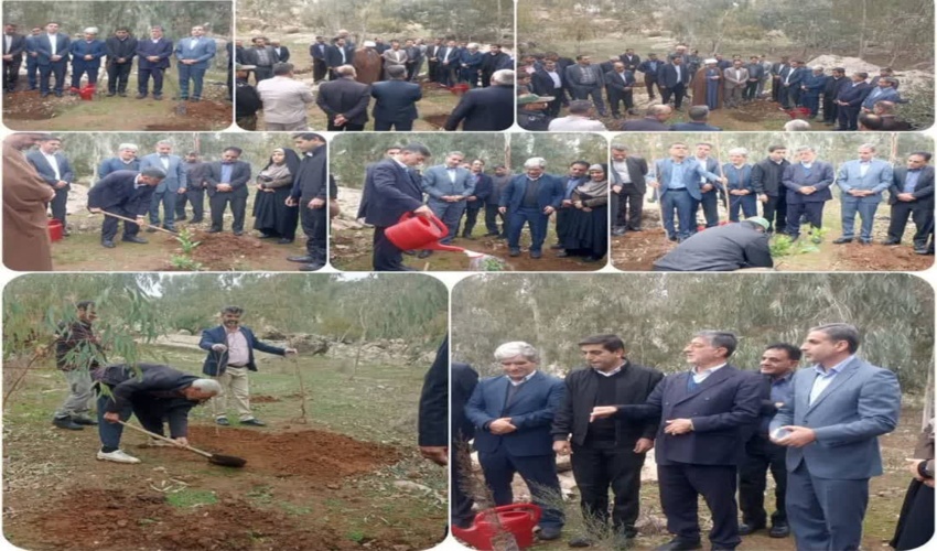 جلسه وبیناری سازمان با کارکنان منابع طبیعی کشور، قضات و دهیاران