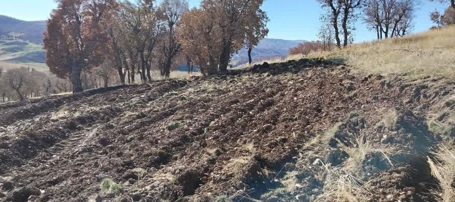 بانه/ بررسی چندین فقره گزارش تخریب اراضی ملی و قطع درختان جنگلی در محدوده روستاهای «درگاشیخان، بوئین‌سفلی و سیاحومه»