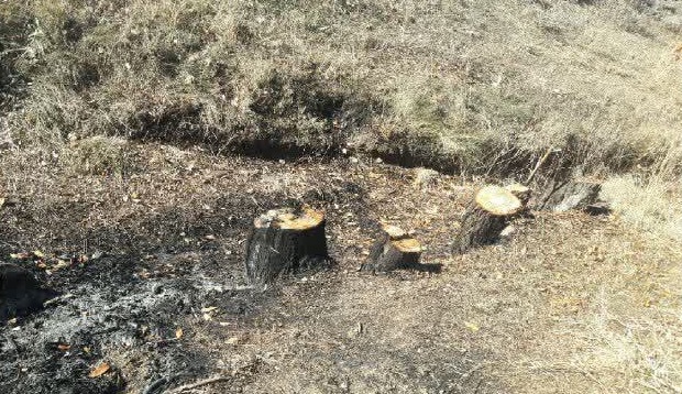 دهگلان/ تخریب و تصرف اراضی ملی روستای گزگزاره علیا از توابع شهرستان 